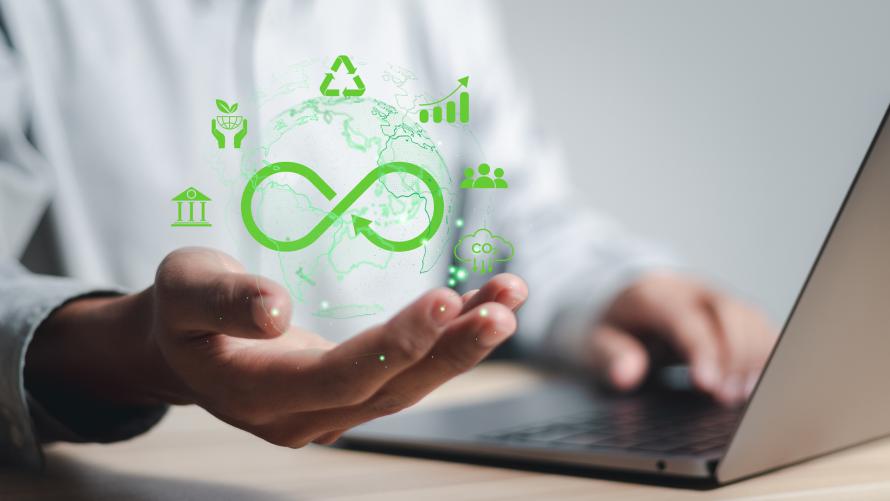 Consultoría de Economía Circular